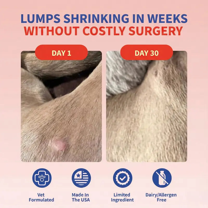 Turkey Tail Gut & Immune Powder