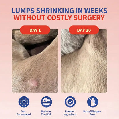 Turkey Tail Gut & Immune Powder