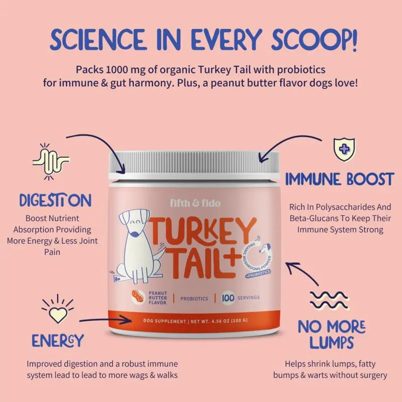 Turkey Tail Gut & Immune Powder