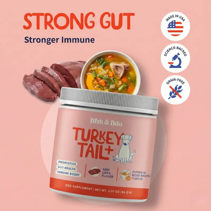 Turkey Tail Gut & Immune Powder