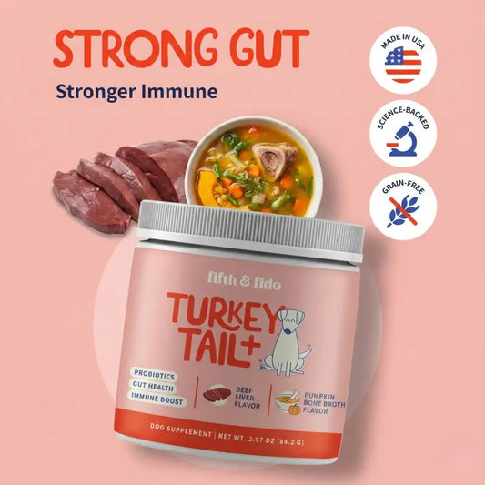 Turkey Tail Gut & Immune Powder