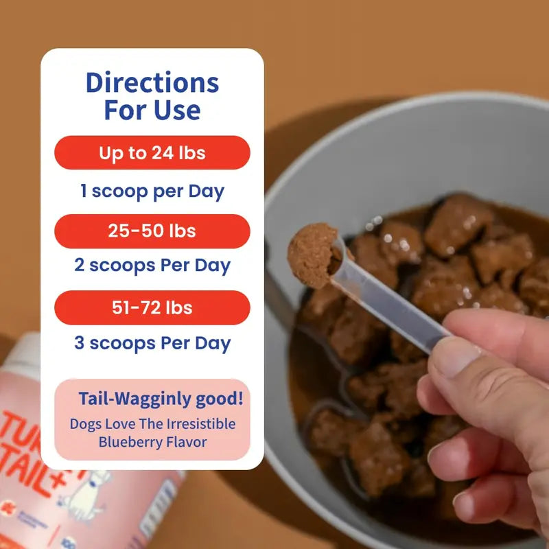 Turkey Tail Gut & Immune Powder