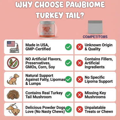 Turkey Tail Gut & Immune Powder